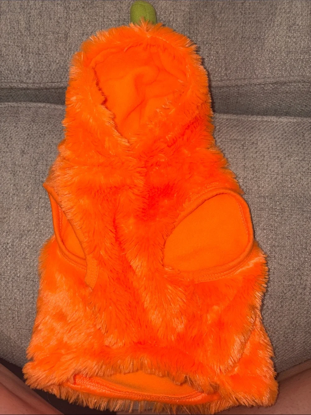 Plush Orange Pumpkin Dog Costume with hood and leash hole